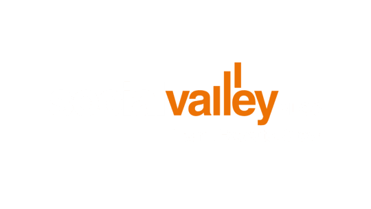 socialvalley official vlog logo