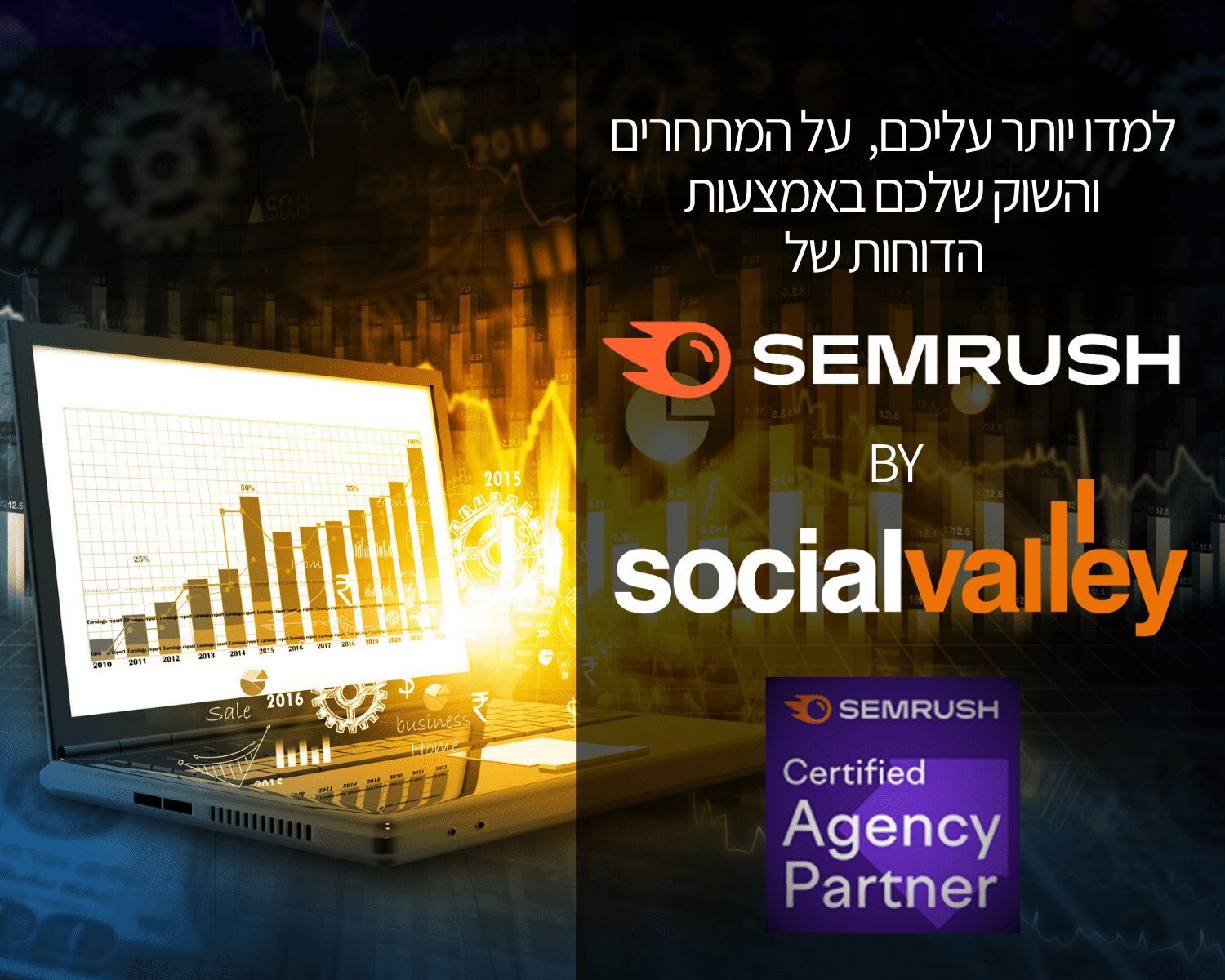 תובנות מדוחות שיווק